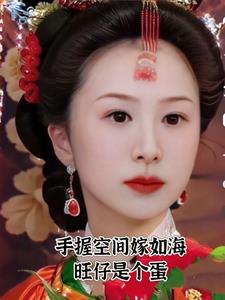 红楼空间藏嫁妆的小说
